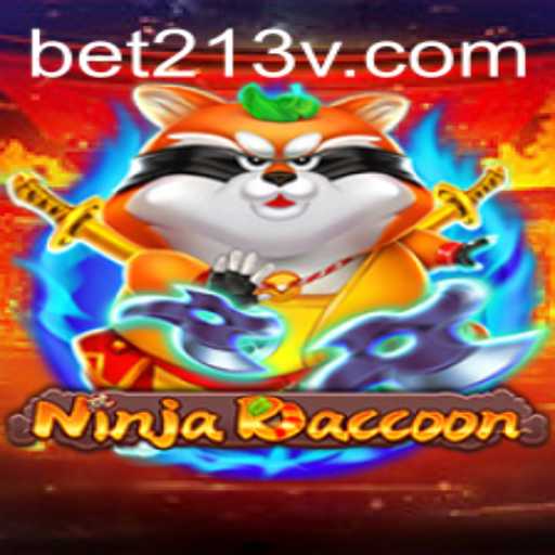 Discover NinjaRaccoon: An Exciting Adventure Awaits